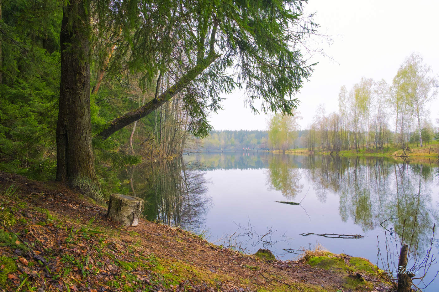 Весенний пейзаж.