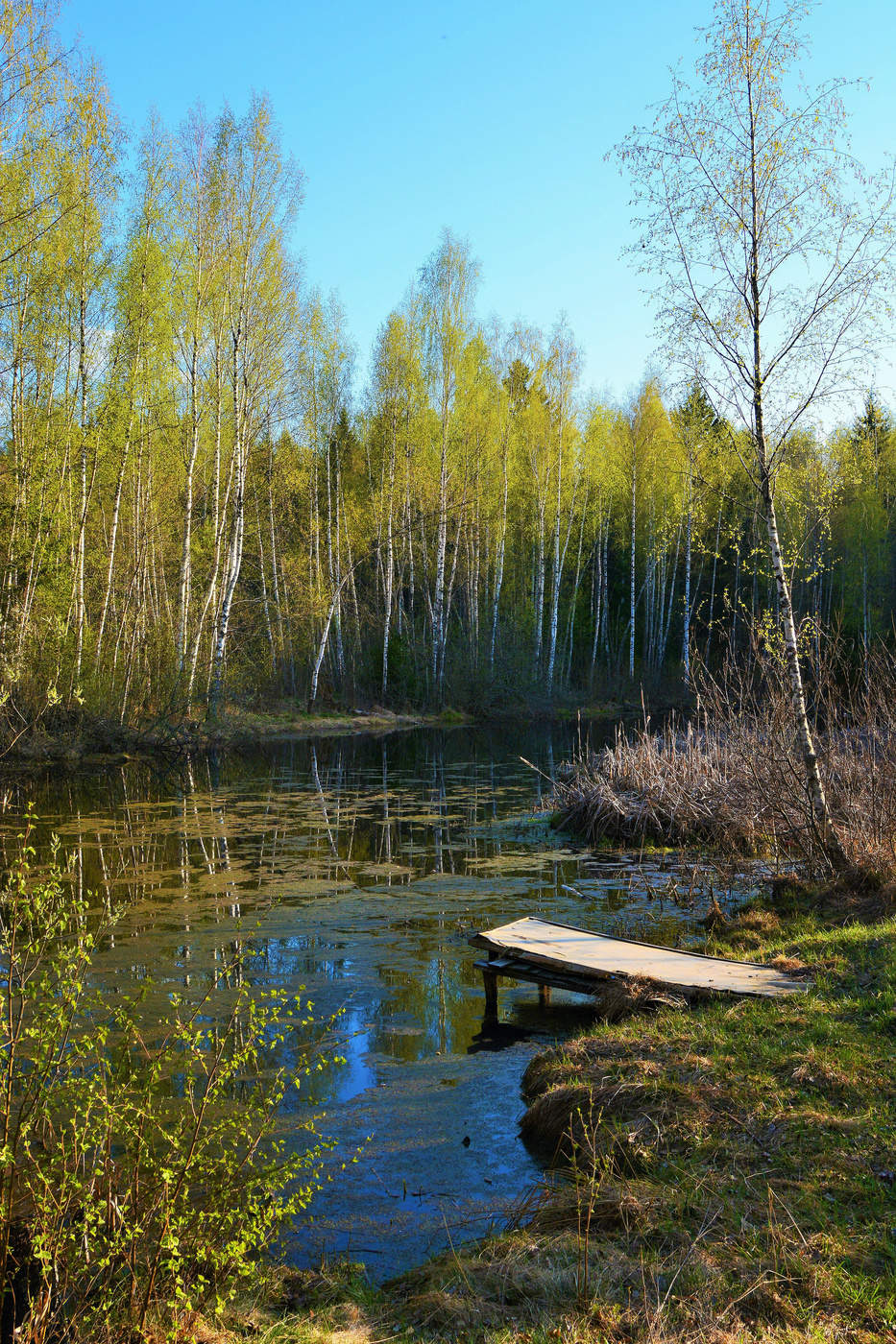 "Когда настанет вечер ясный ..."