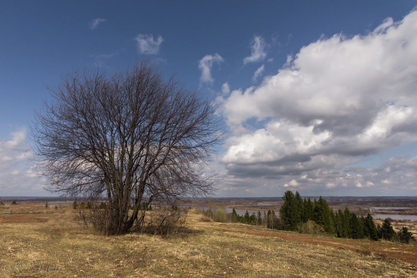 Майский день