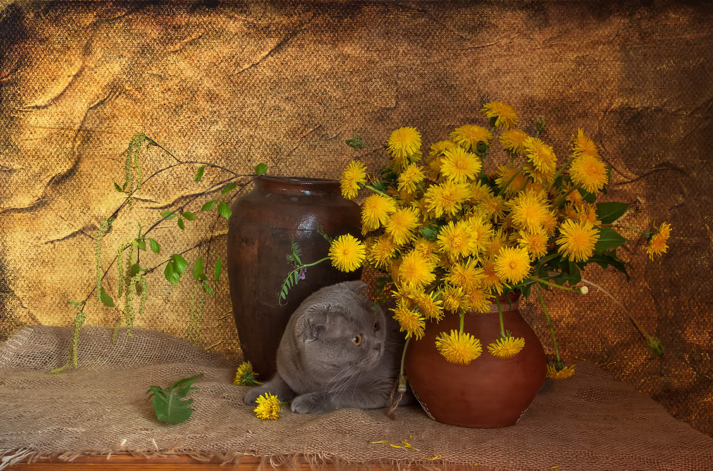 Солнечное настроение...