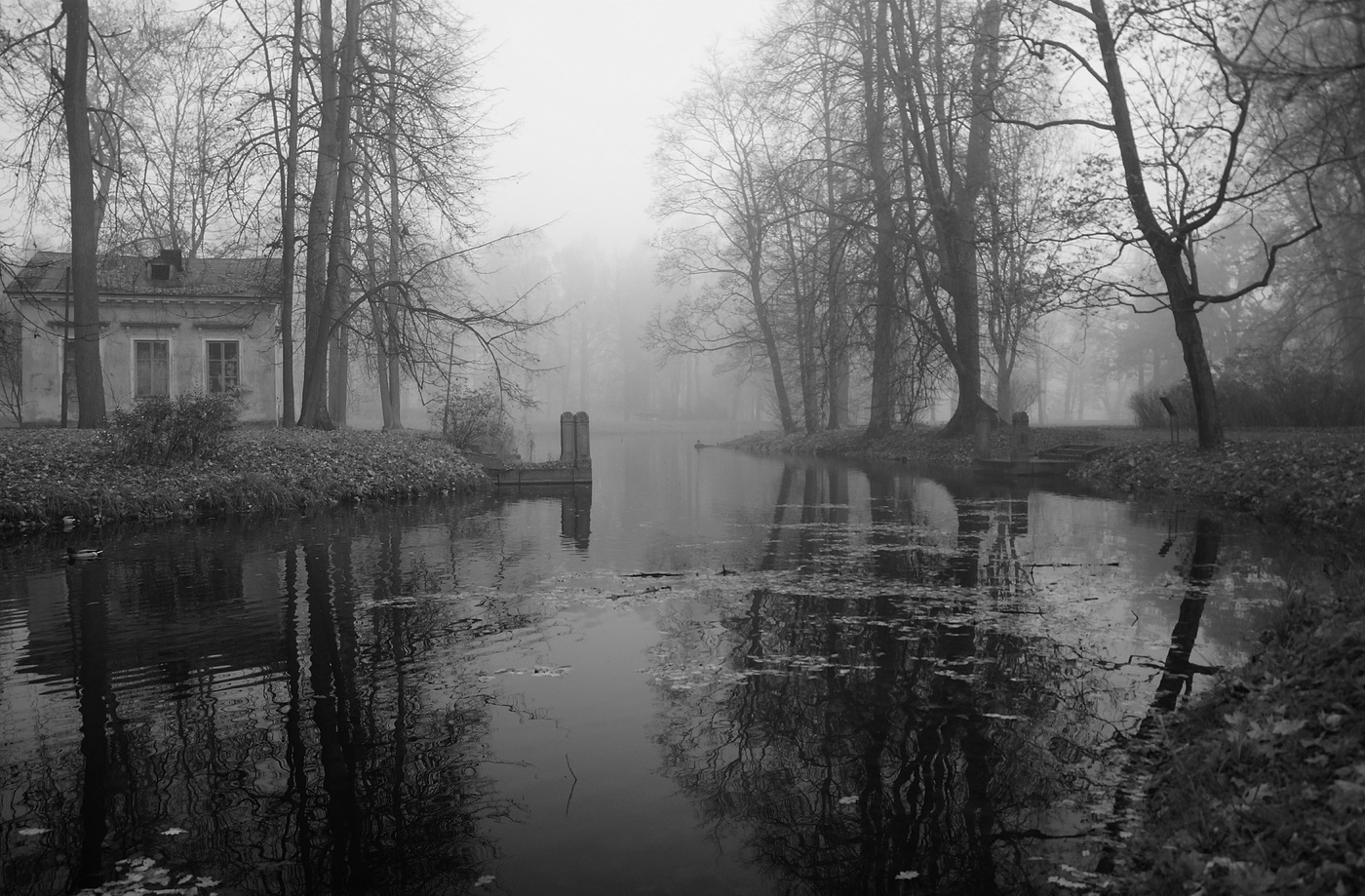 Осеннее утро...