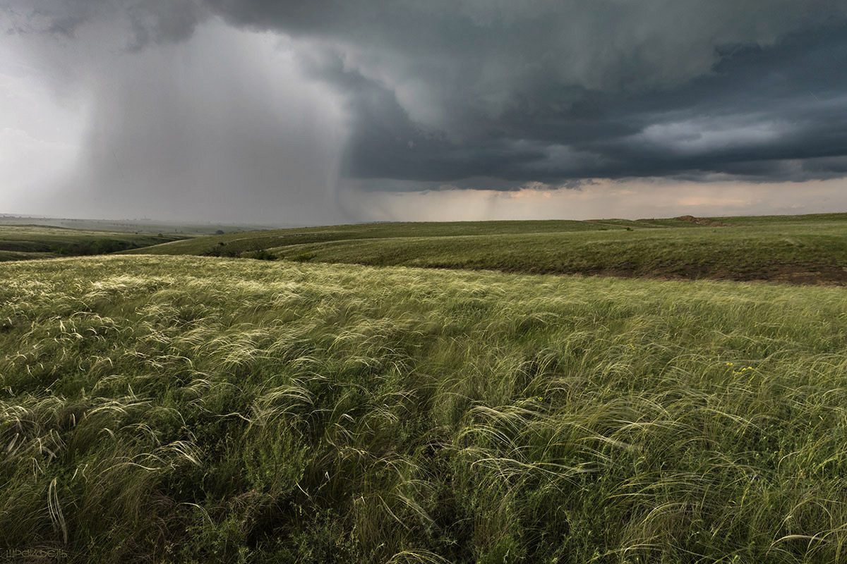 Степь грозовая