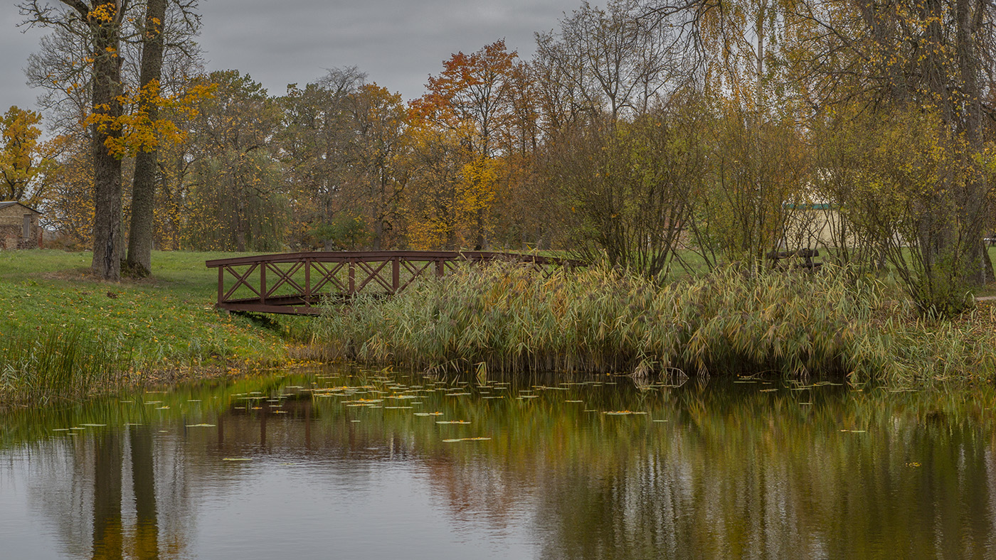 Пруд с японским мостиком и кувшинками