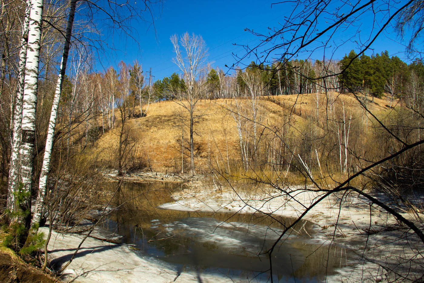 Окресности Железногорска