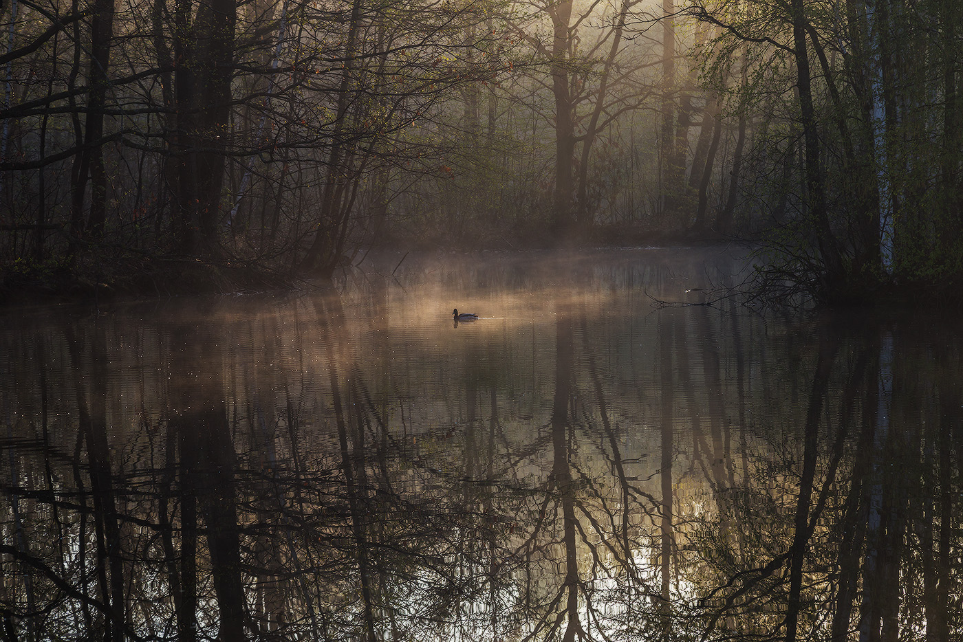 Пробуждение