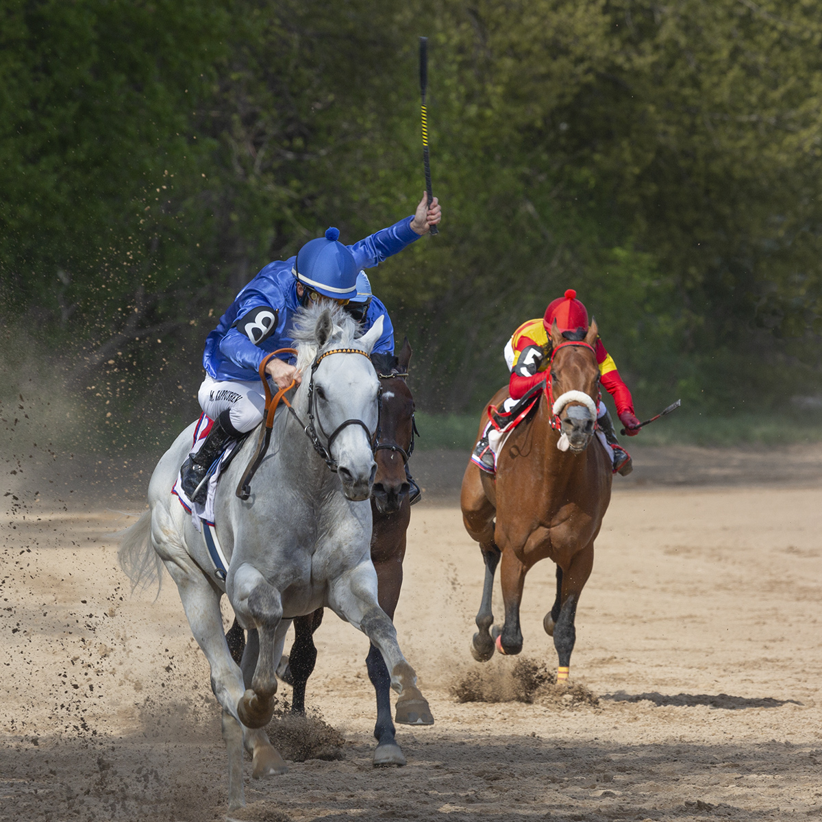 №8 Серебряный дождь