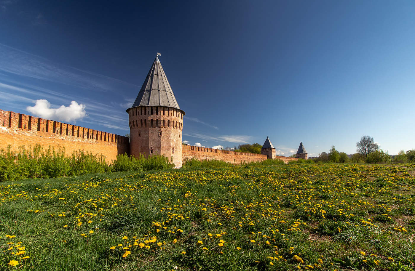Время одуванчиков...