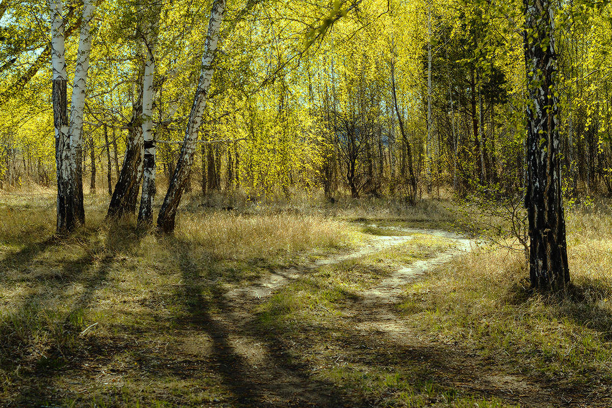 Майский свет