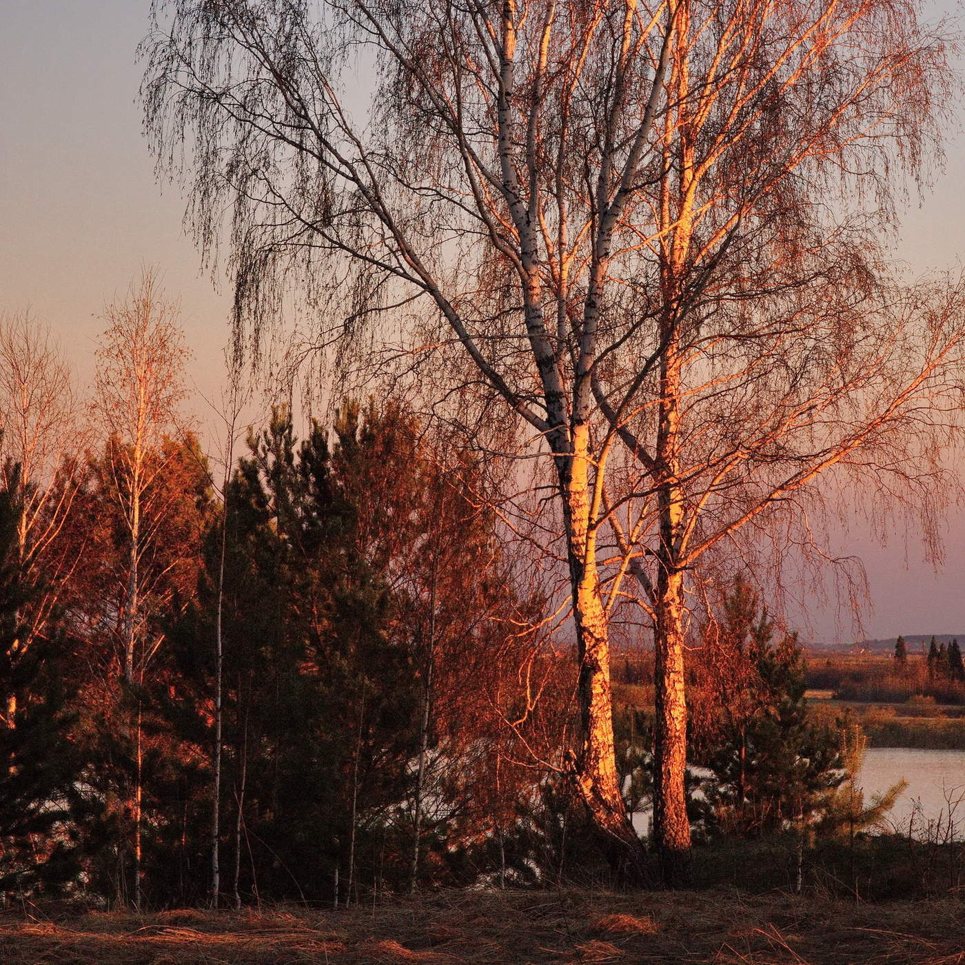 Краски заката