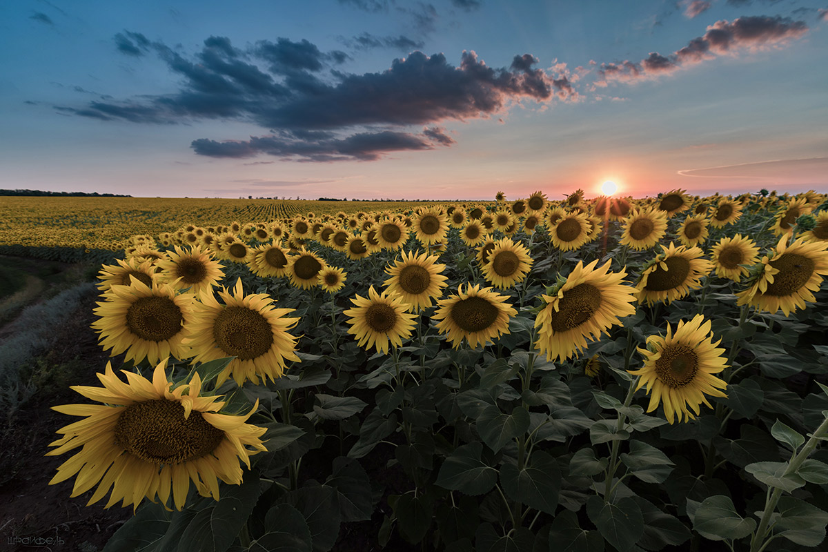 Отвернулись