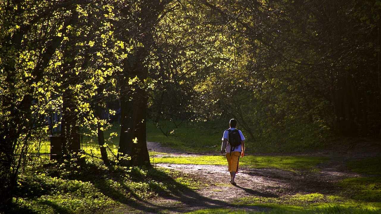 Весне навстречу.