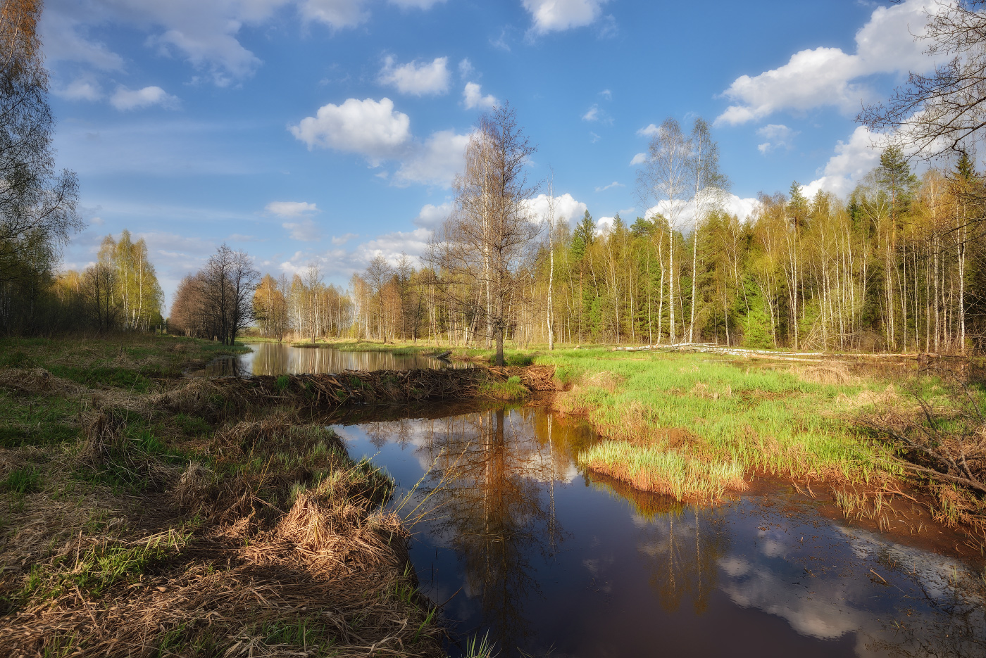 весенний пейзаж