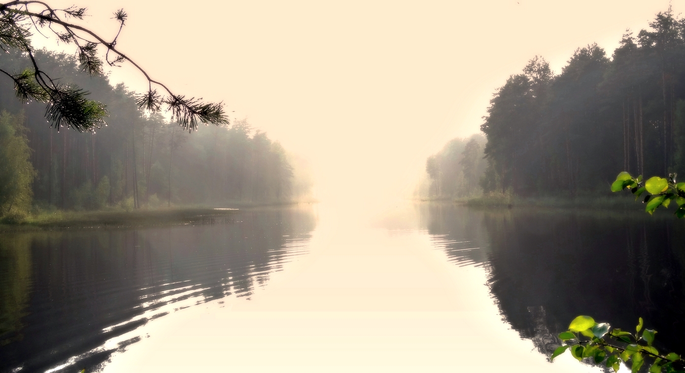 Вечерний туман после дождя