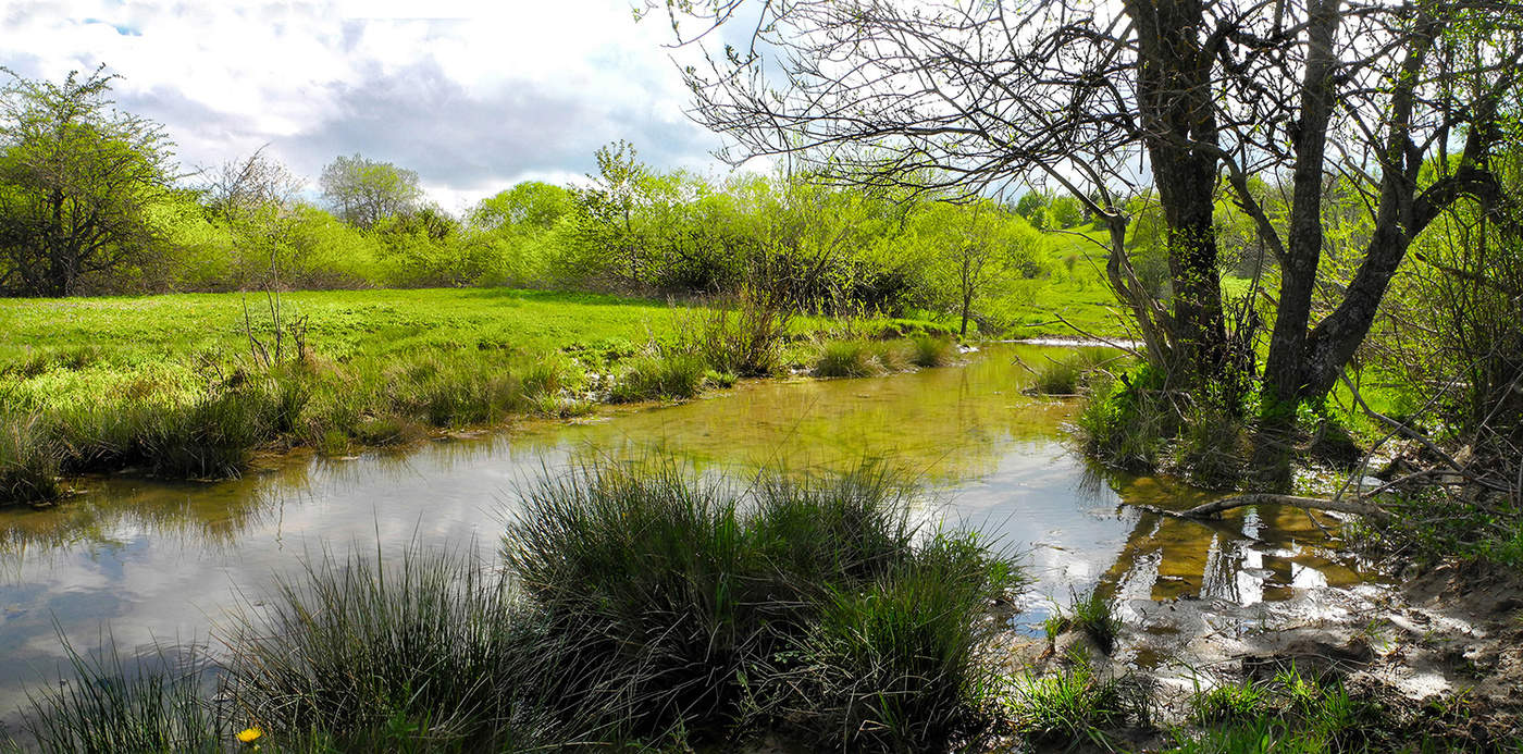 Тёплый денёк