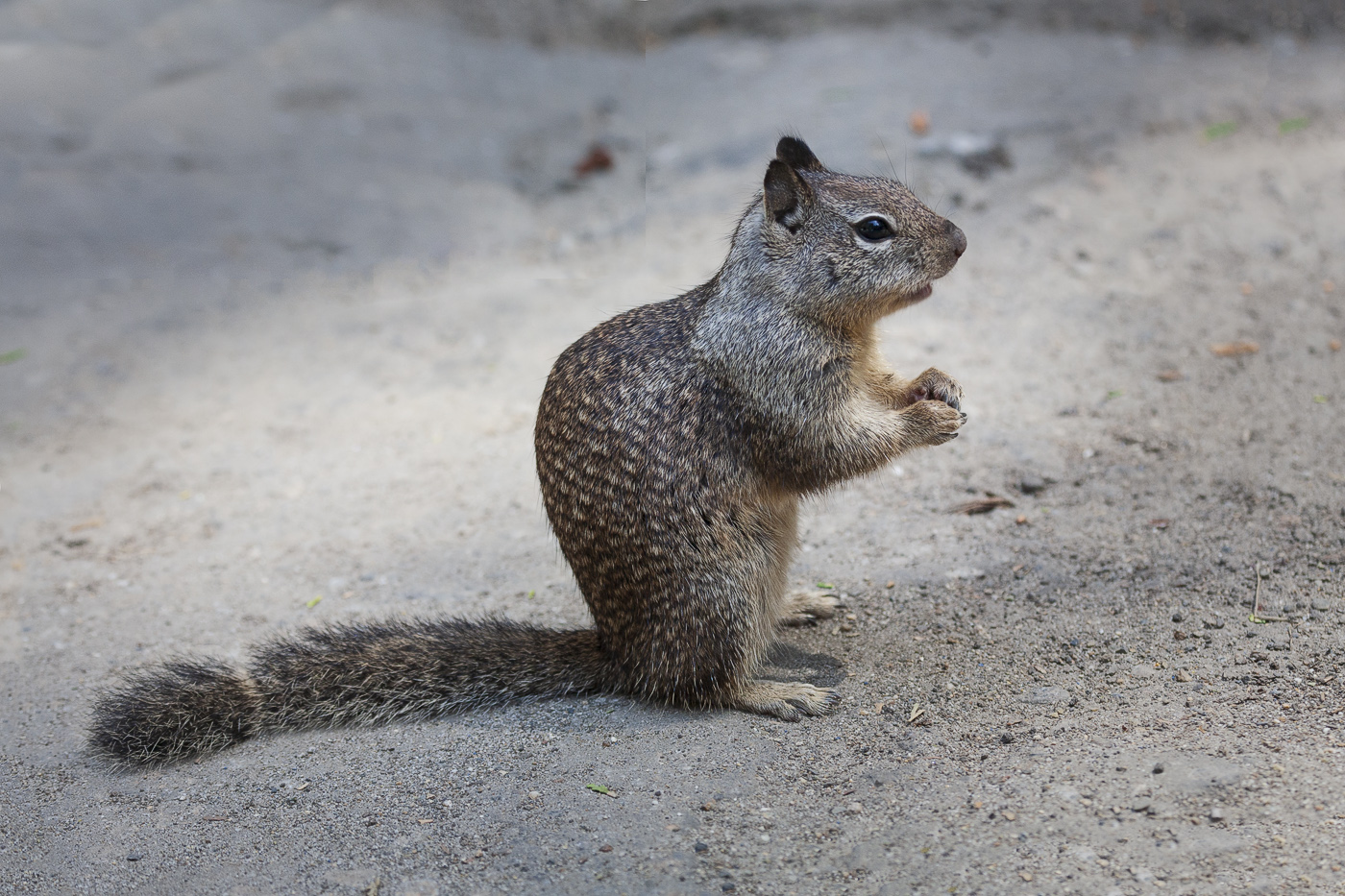 Сижу на горшочке ...