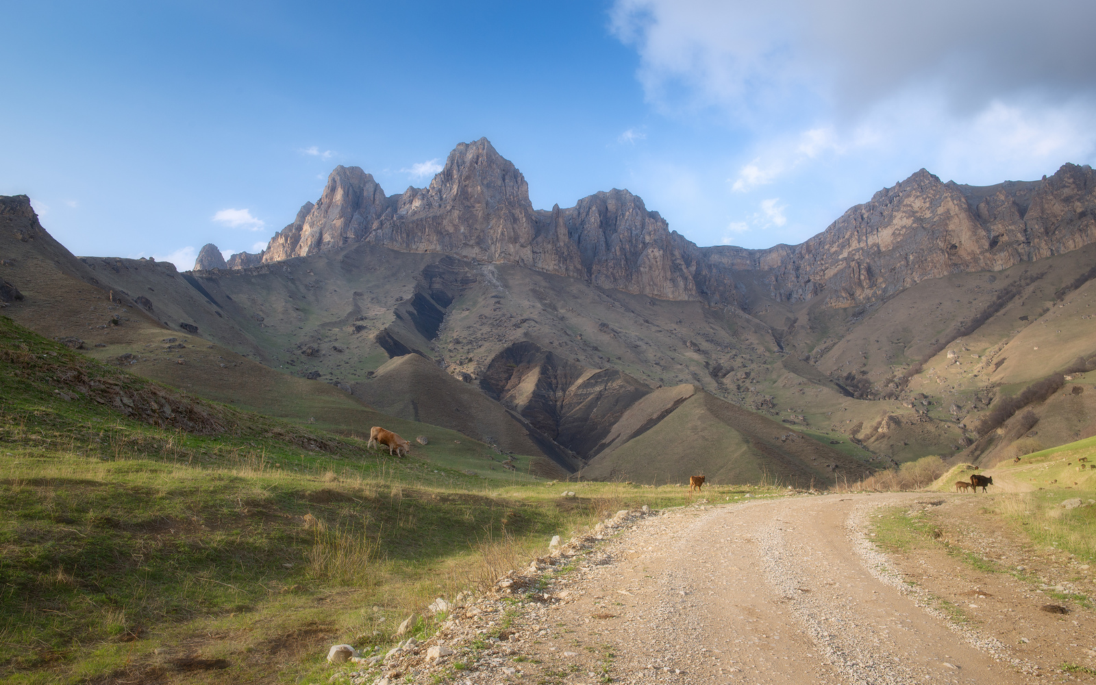 Горными дорогами