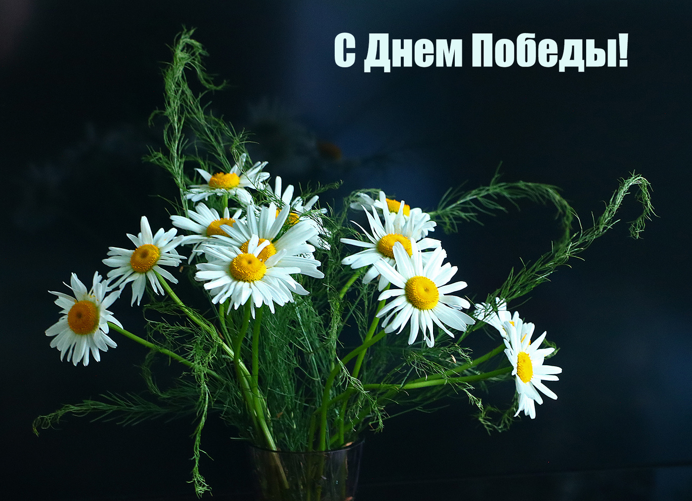 С Днем Победы!