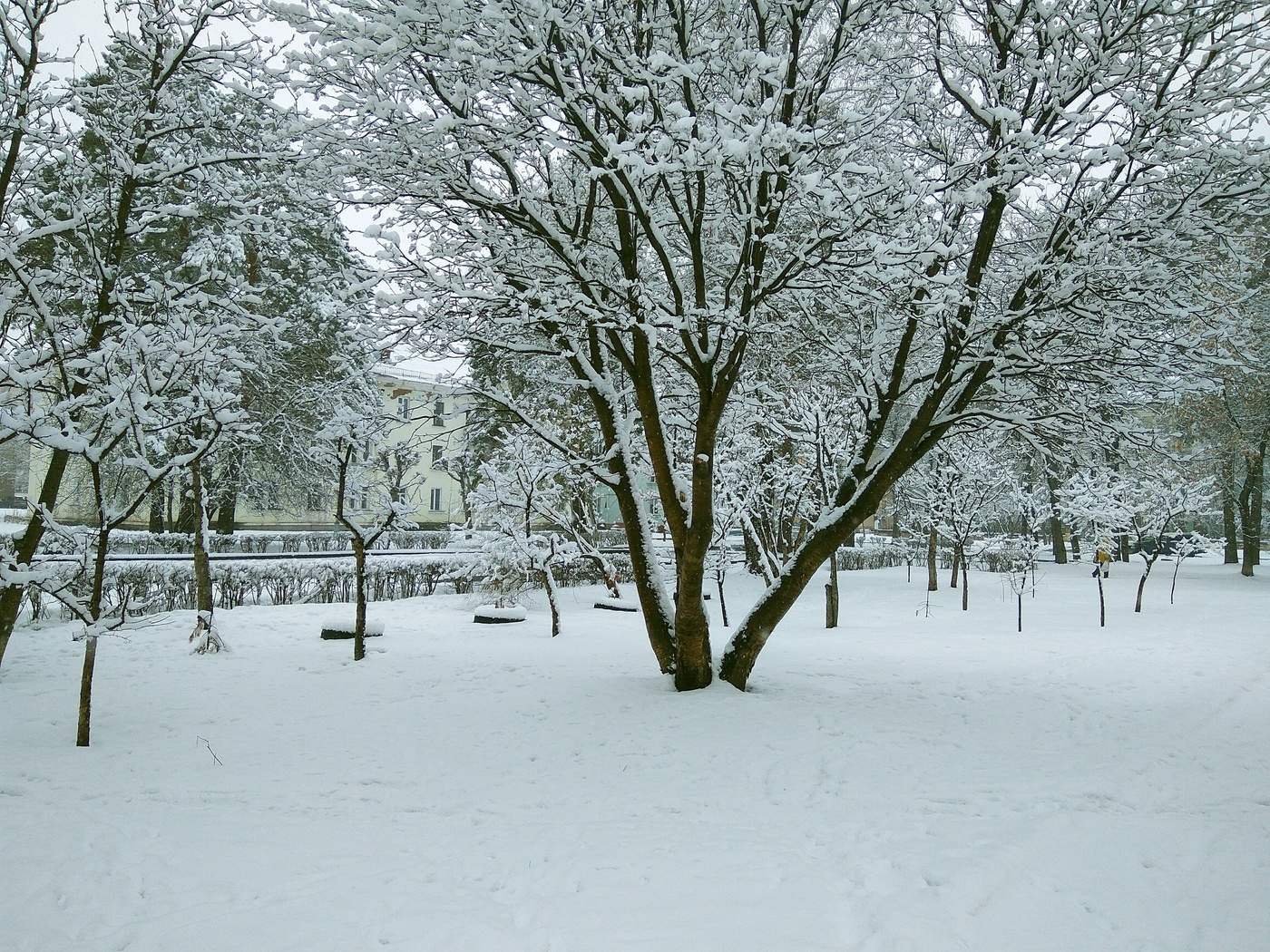 Особенности национальной погоды