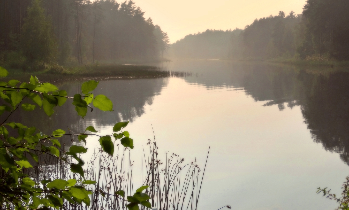 Особенности национальной погоды