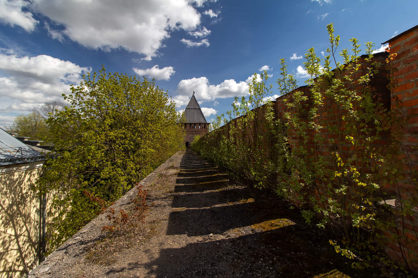 Гуляя по крепостной стене...
