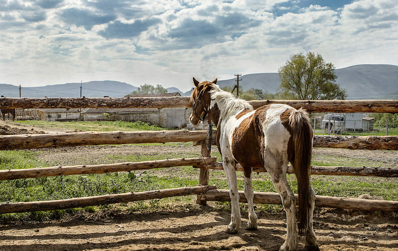 Погулять бы.