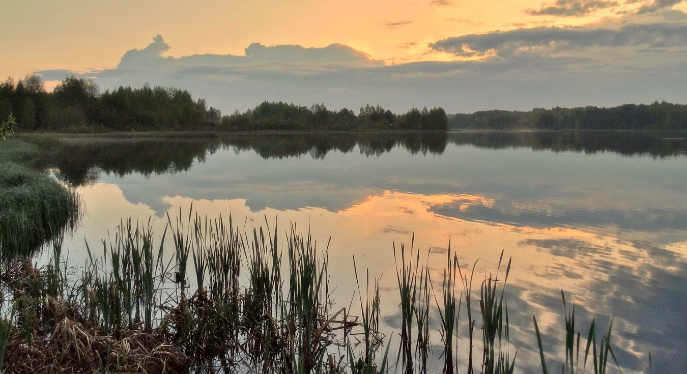 Тихий майский вечер после грозы