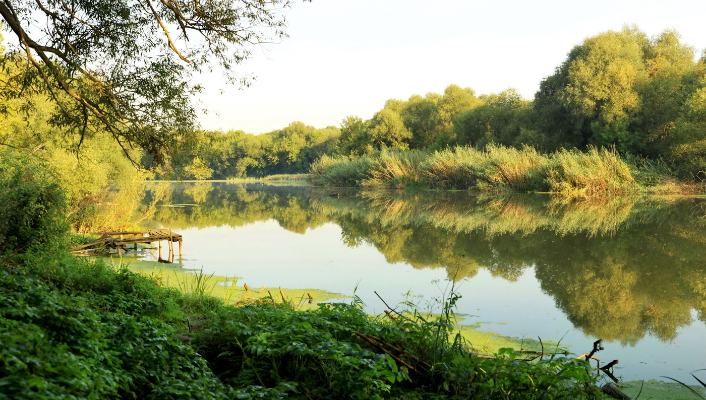 Утренний пейзаж