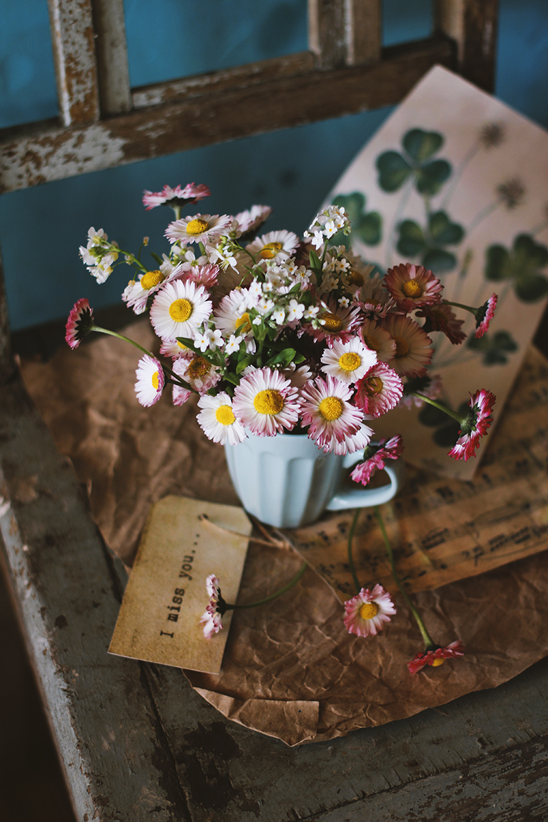 И там, и тут.... Маргаритки цветут....