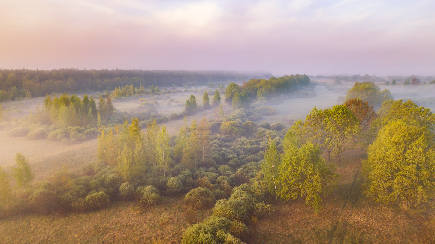 Майская рассветная