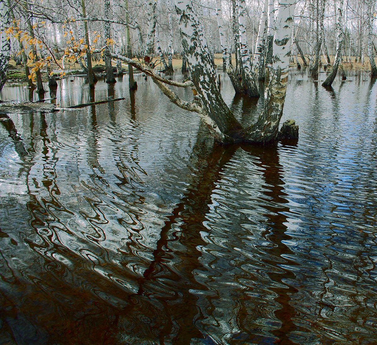 Вода,вода...