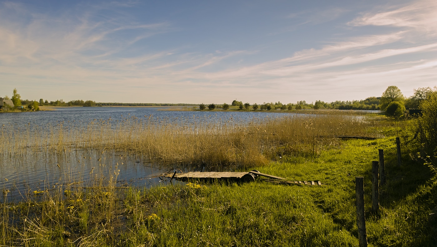 Пушистые берега