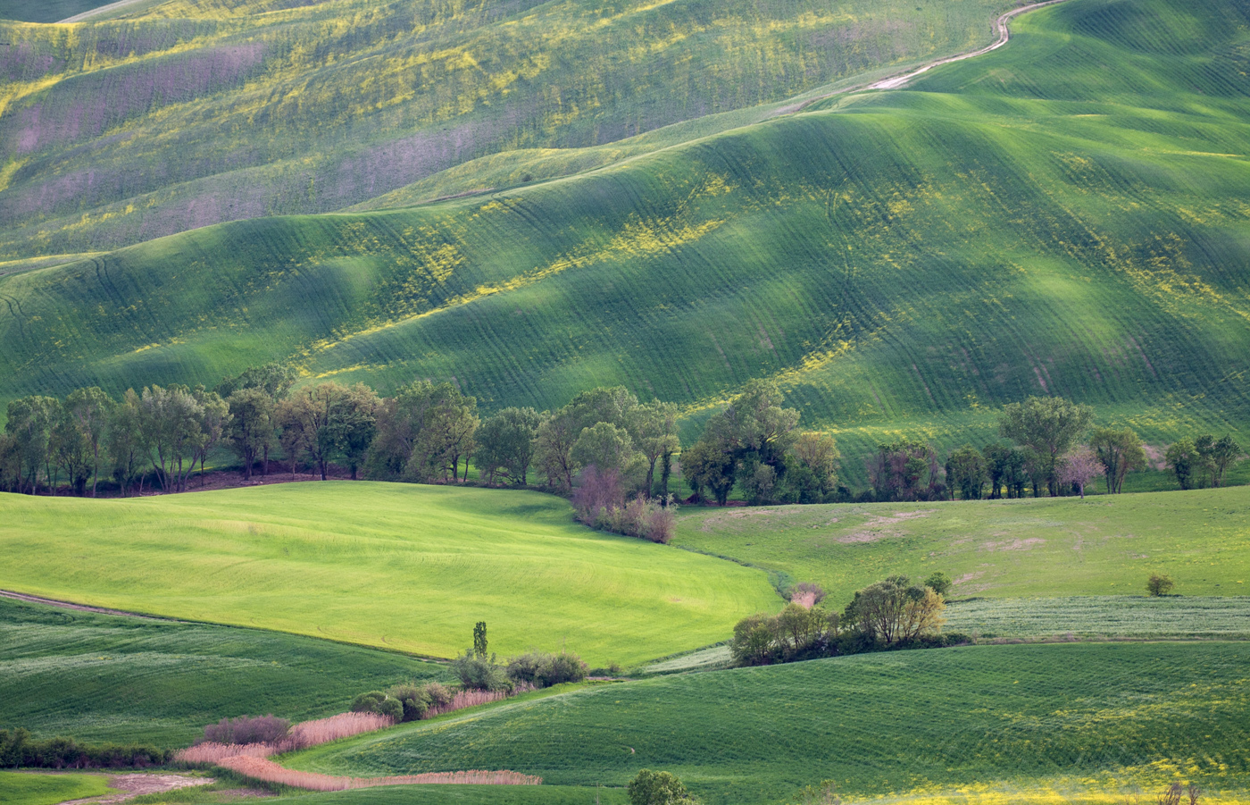 Желтые ручейки