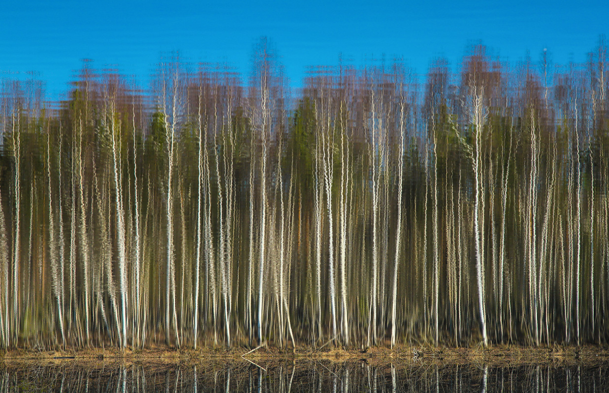 Весенний мираж