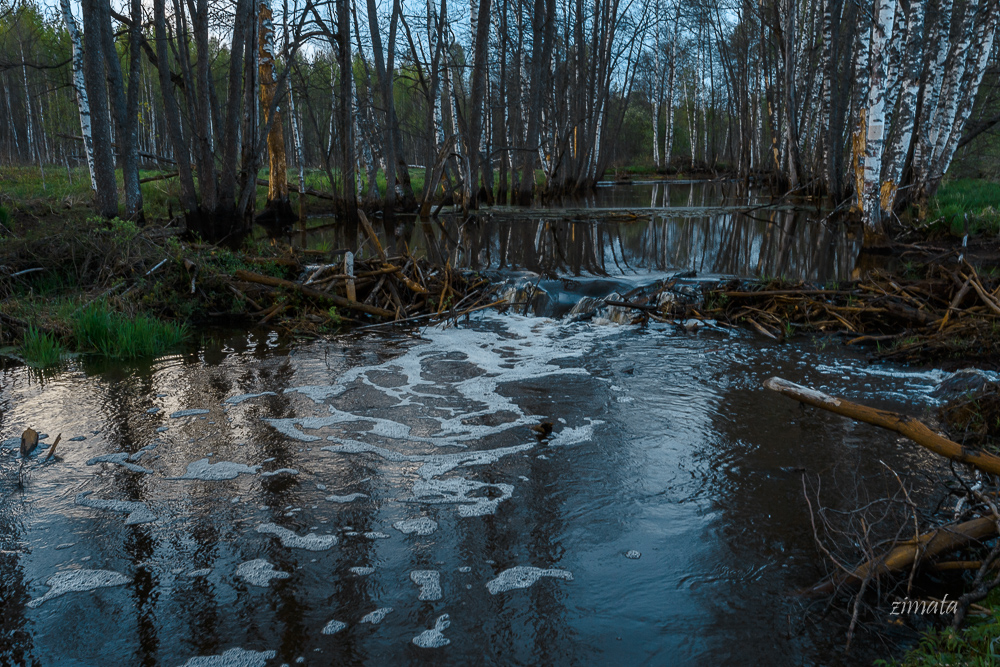 весенние разливы