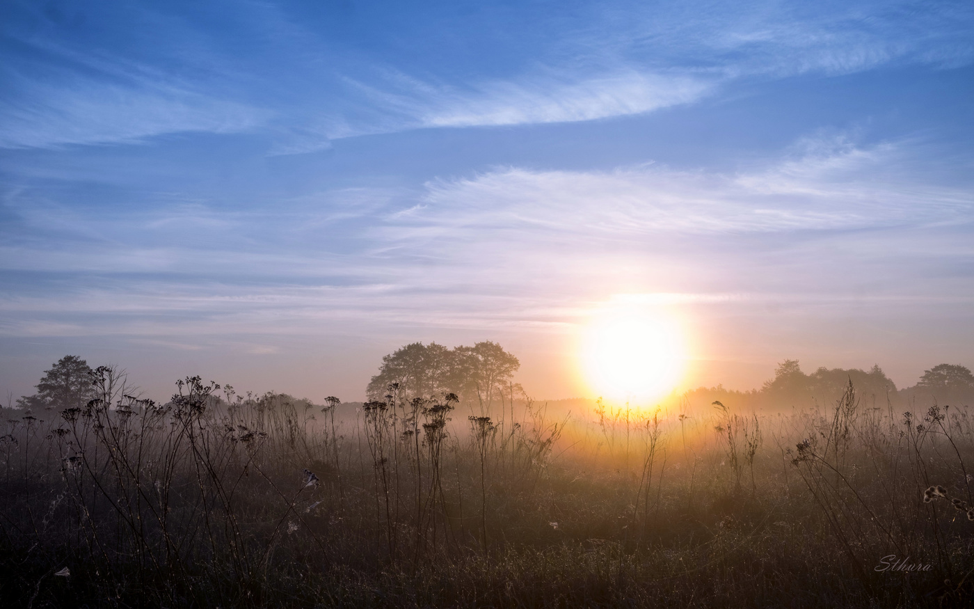 Майский рассвет.