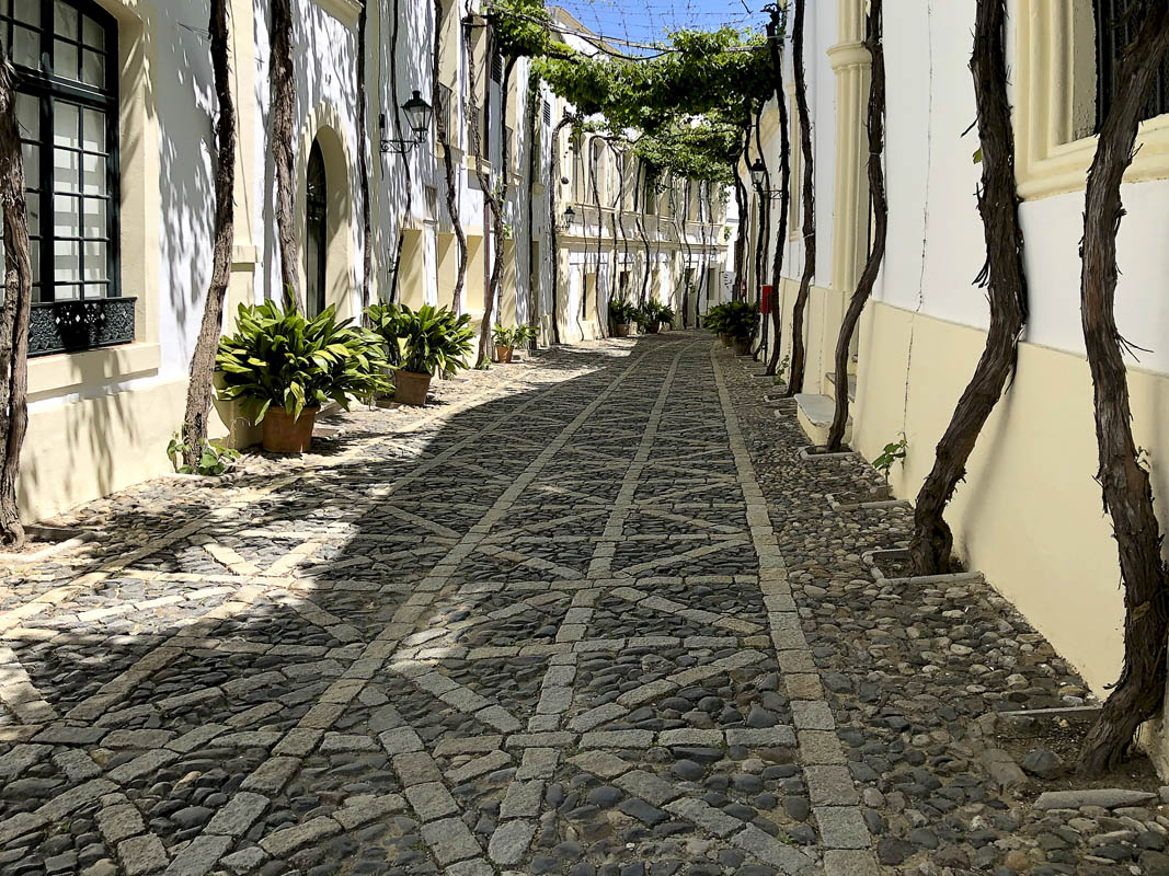 Одной красивой улицей