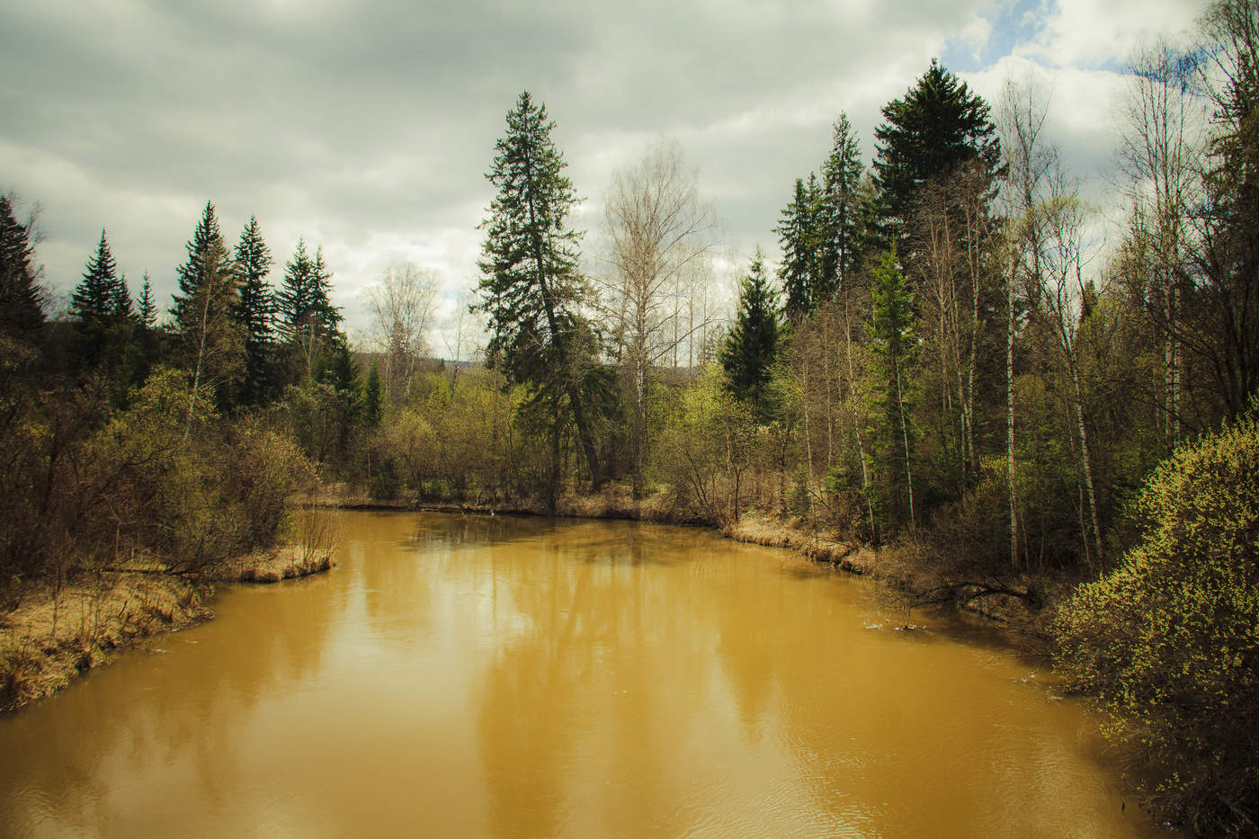 Весенний кантат.