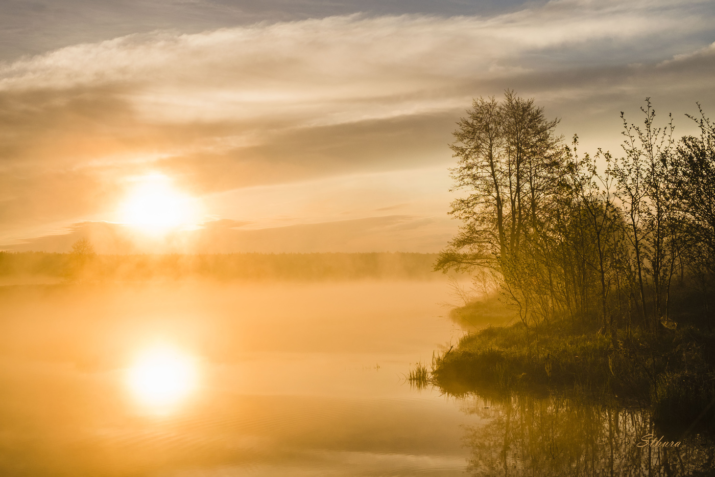 Хорошее утро.