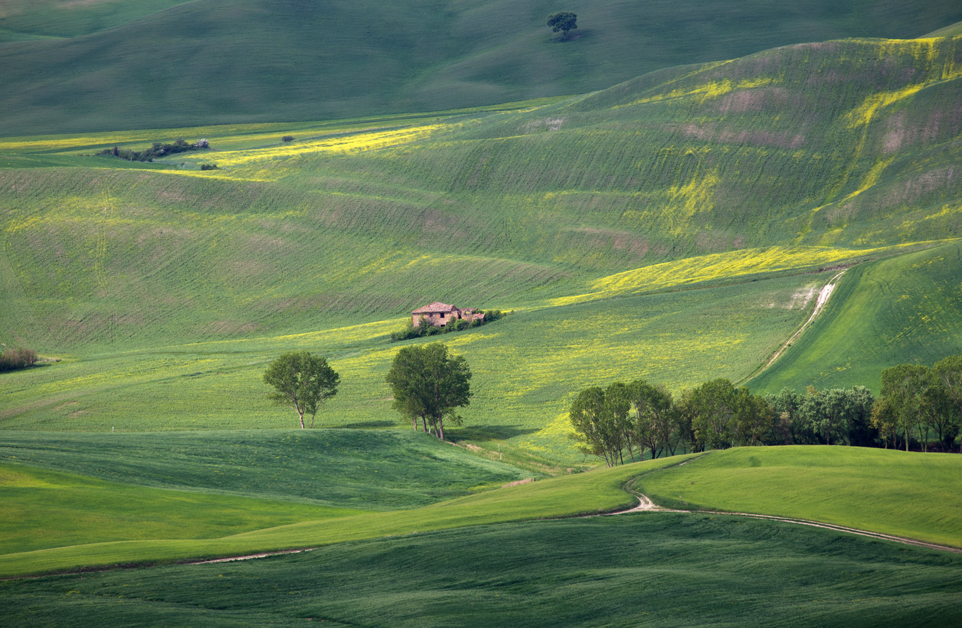 Среди холмов