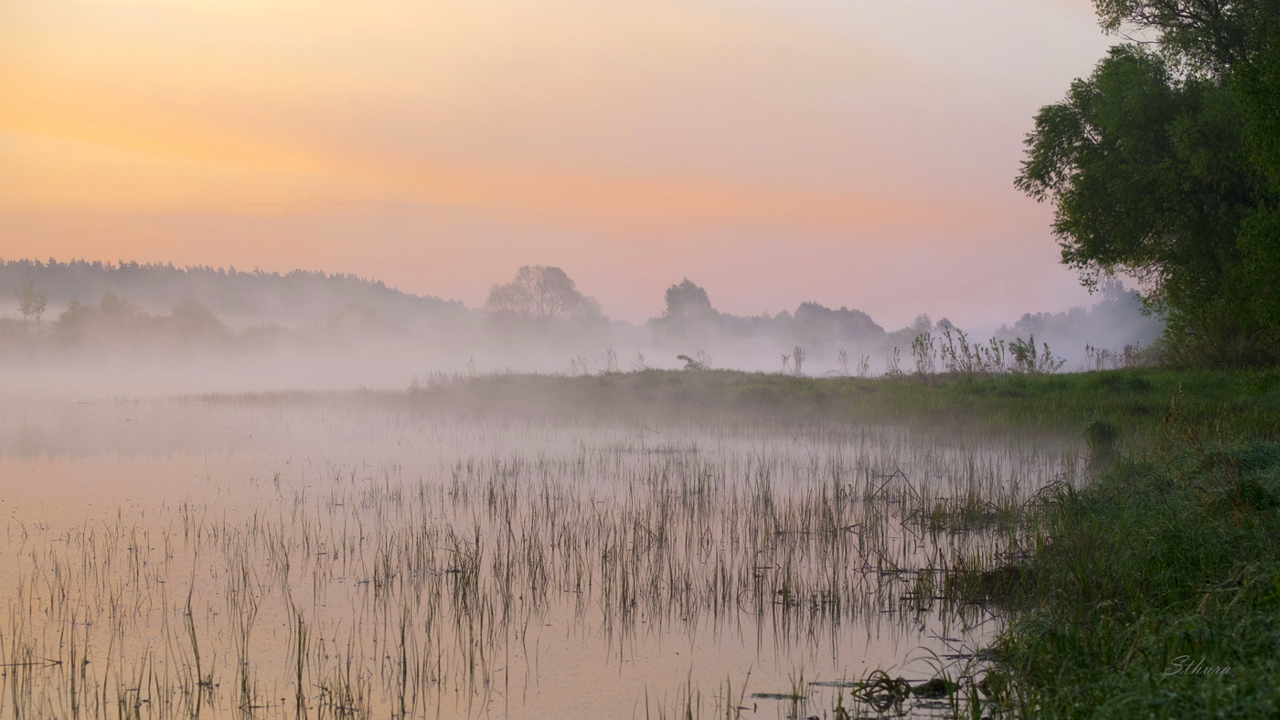 Туман на озере.