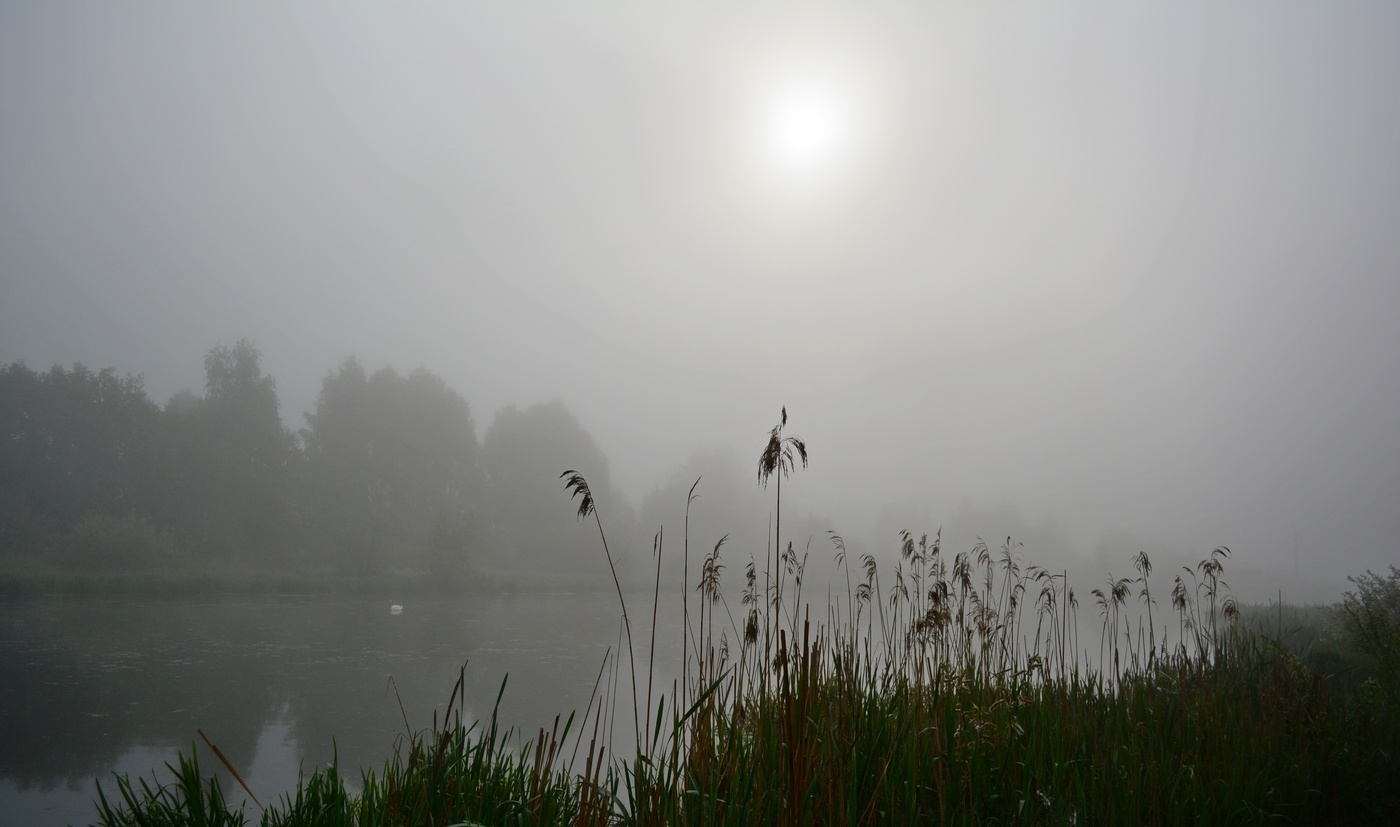 Майские туманы