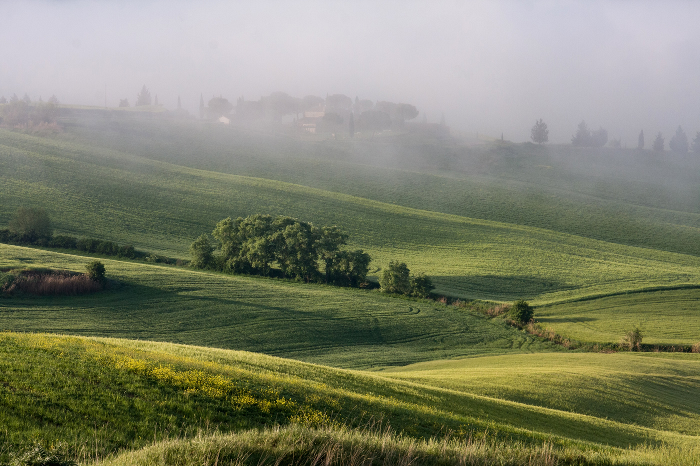 Туман верхами