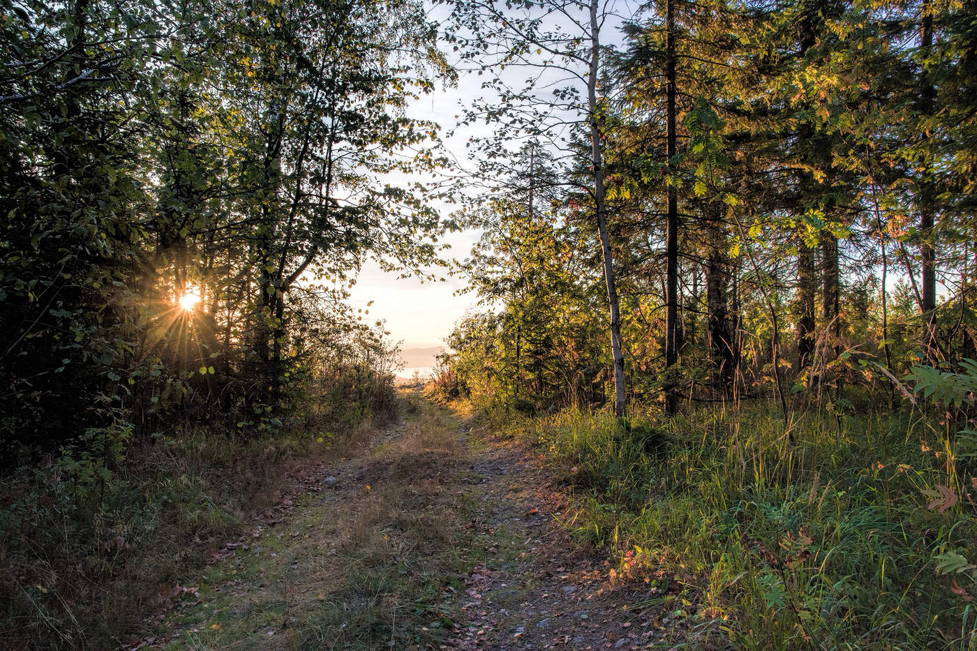 Дорога к солнцу