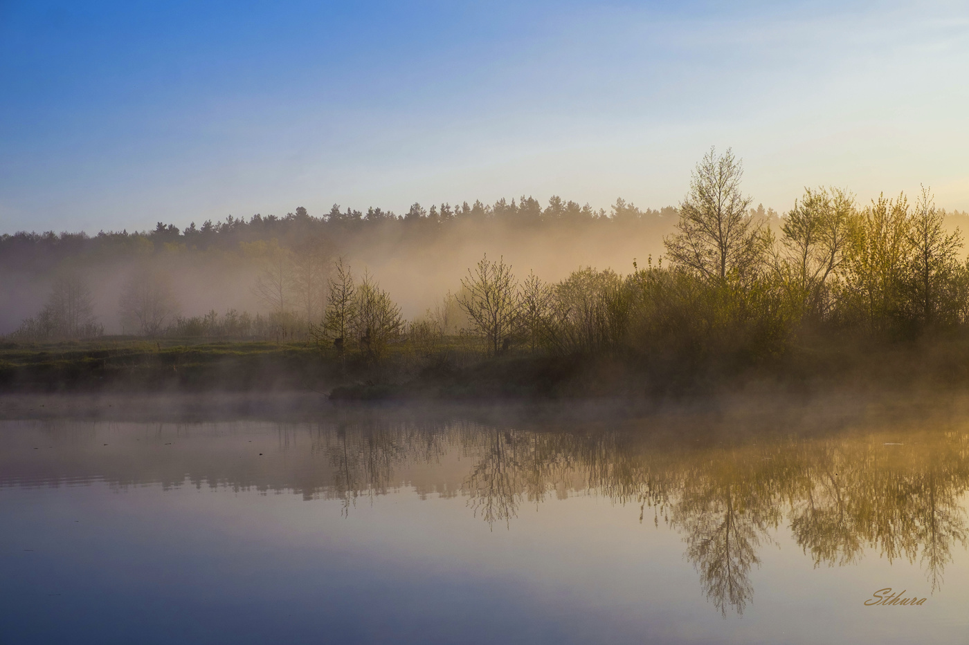 Весеннее утро.