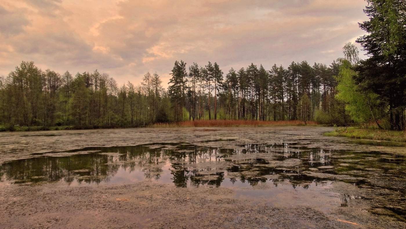 Непопулярное место