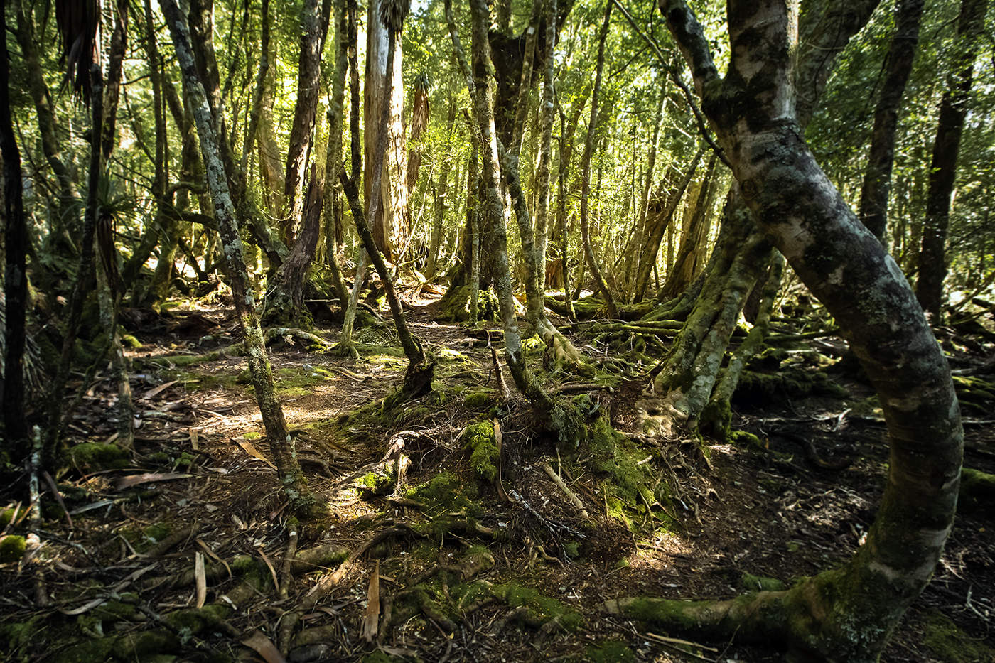 Непопулярное место