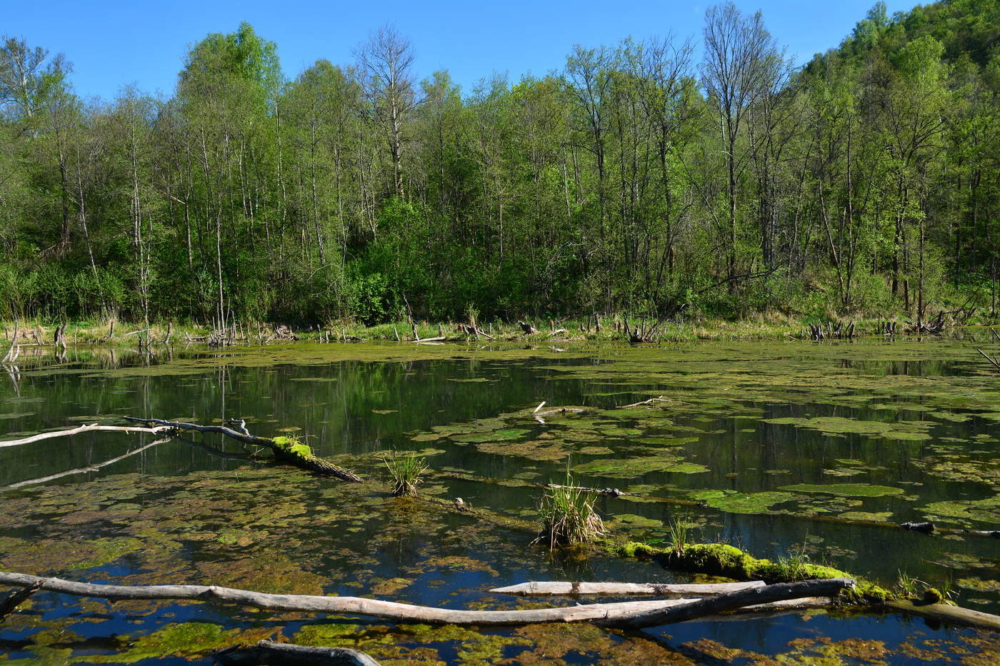 Непопулярное место.