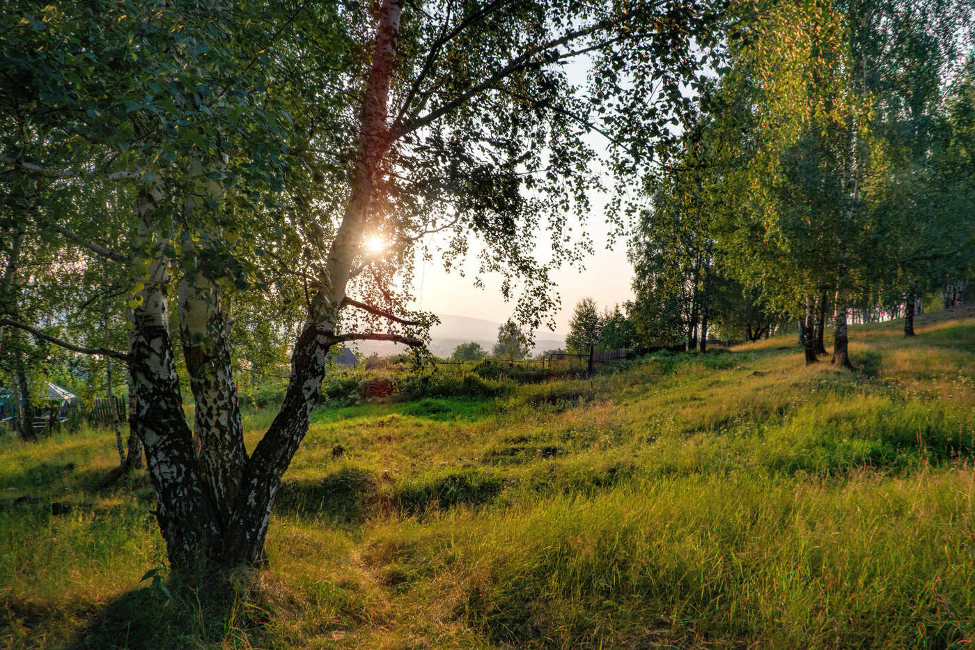 На околице села