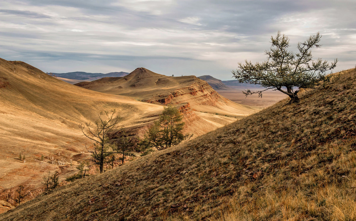 Утро удалось...