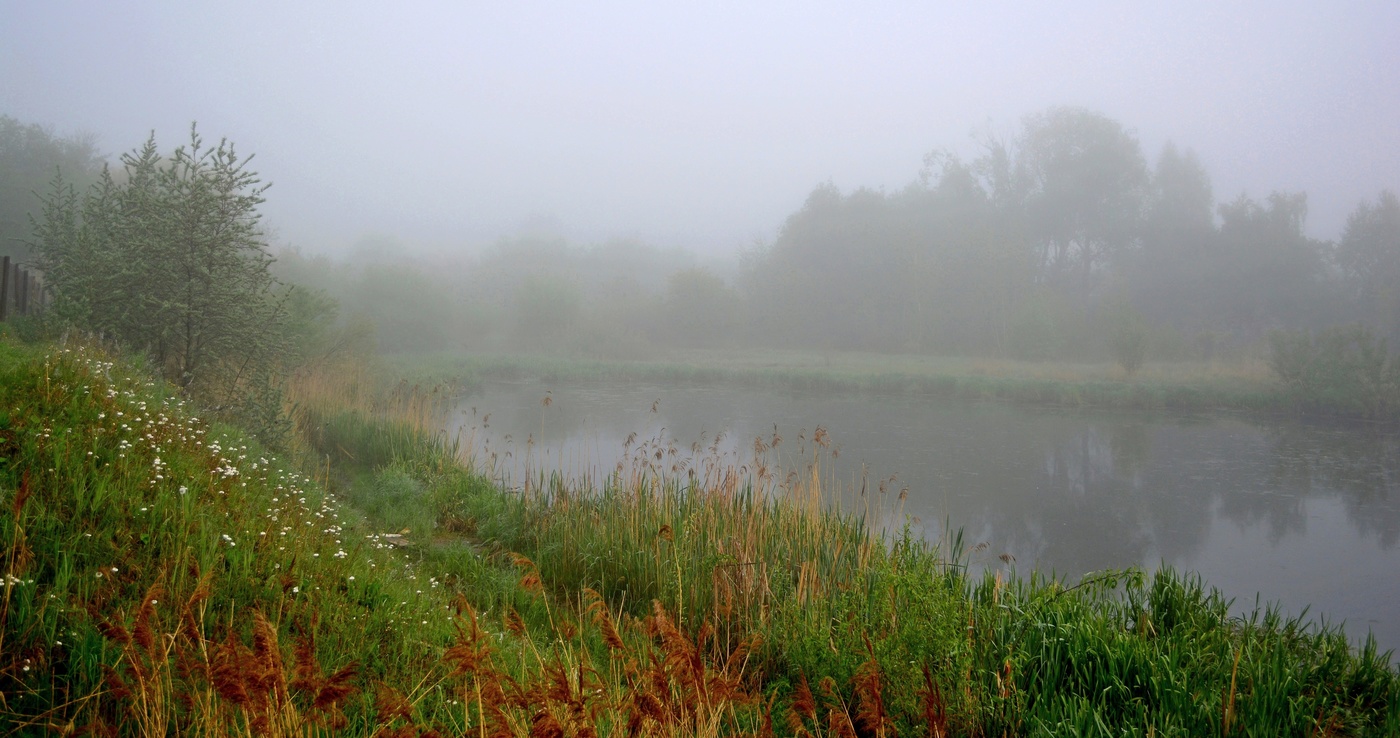 В утреннем тумане